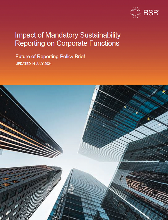 Impact of Mandatory Sustainability Reporting on Corporate Functions cover image