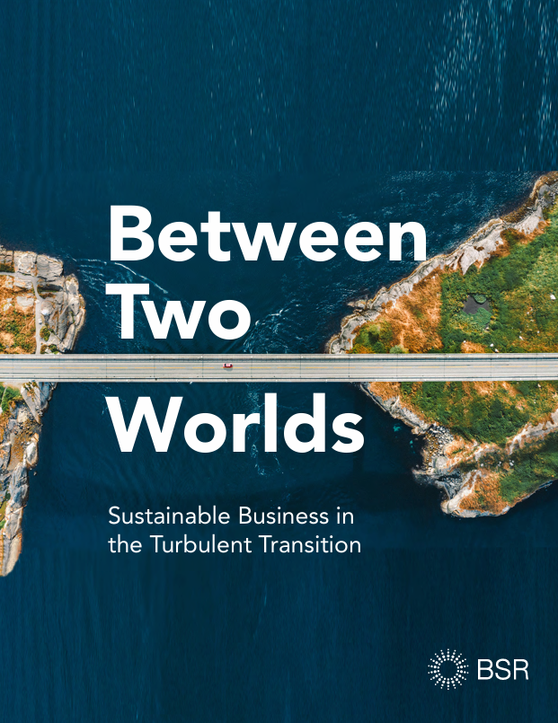 Between Two Worlds: Sustainable Business in the Turbulent Transition cover image