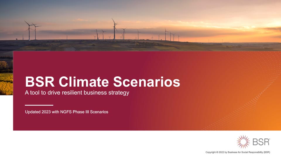 BSR Climate Scenarios cover image