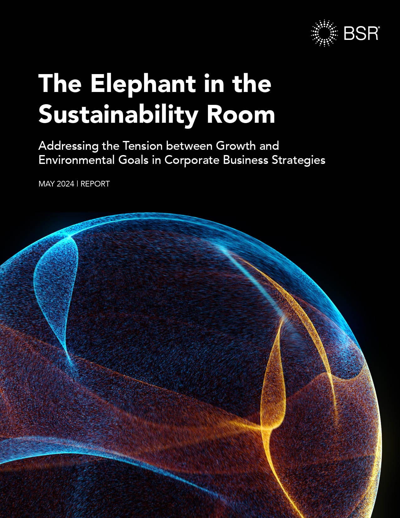 The Elephant in the Sustainability Room cover image