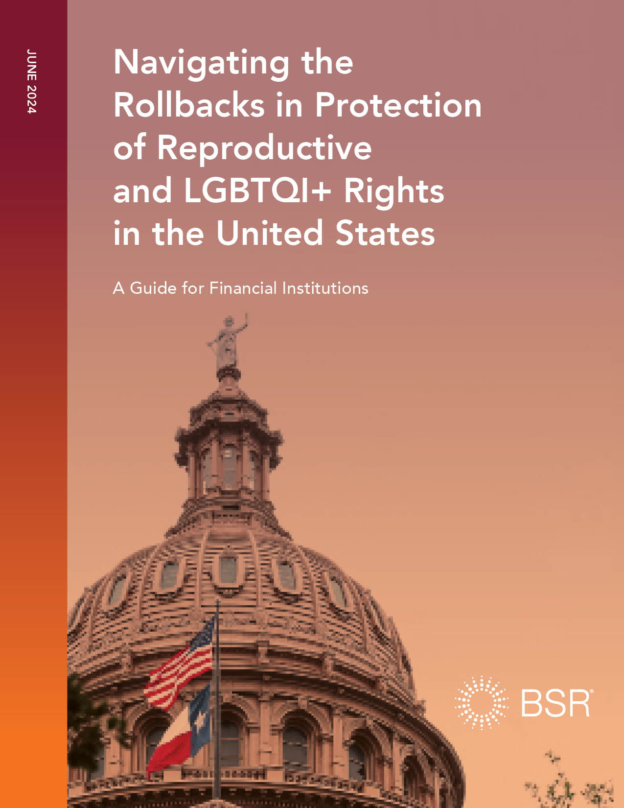 Navigating the Rollbacks in Protection of Reproductive and LGBTQI+ Rights in the US cover image