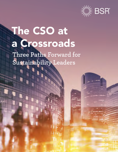 The CSO at a Crossroads: Three Paths Forward for Sustainability Leaders cover image