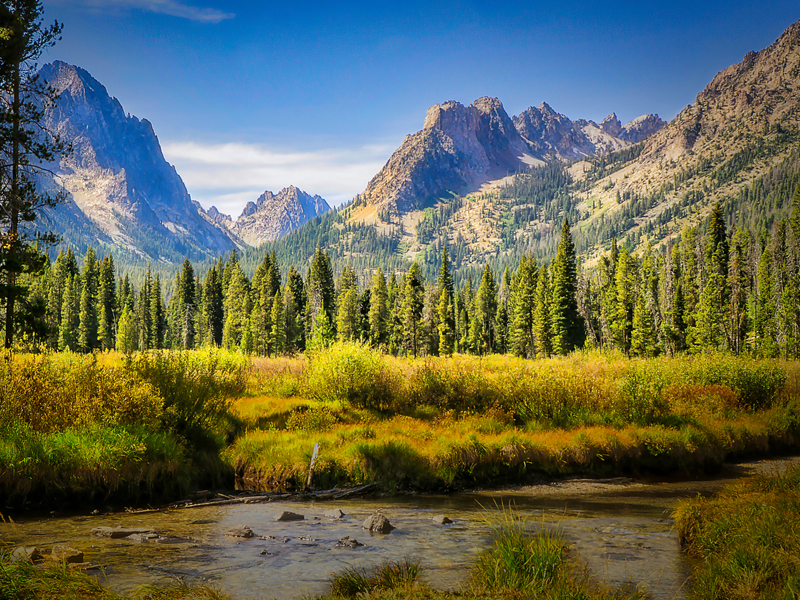 Integrating Climate and Nature: A Dual Approach to Business Resilience thumnail image