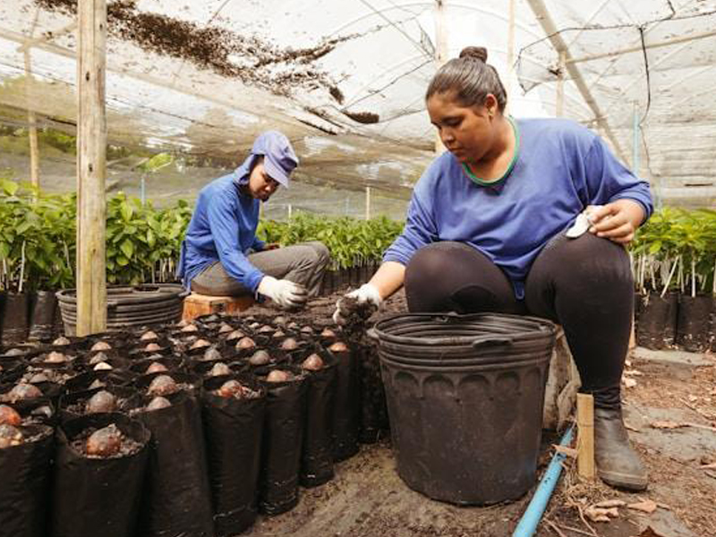 Contributions to the Nature Positive Agenda in Latin America: Role of the Private Sector thumbnail image