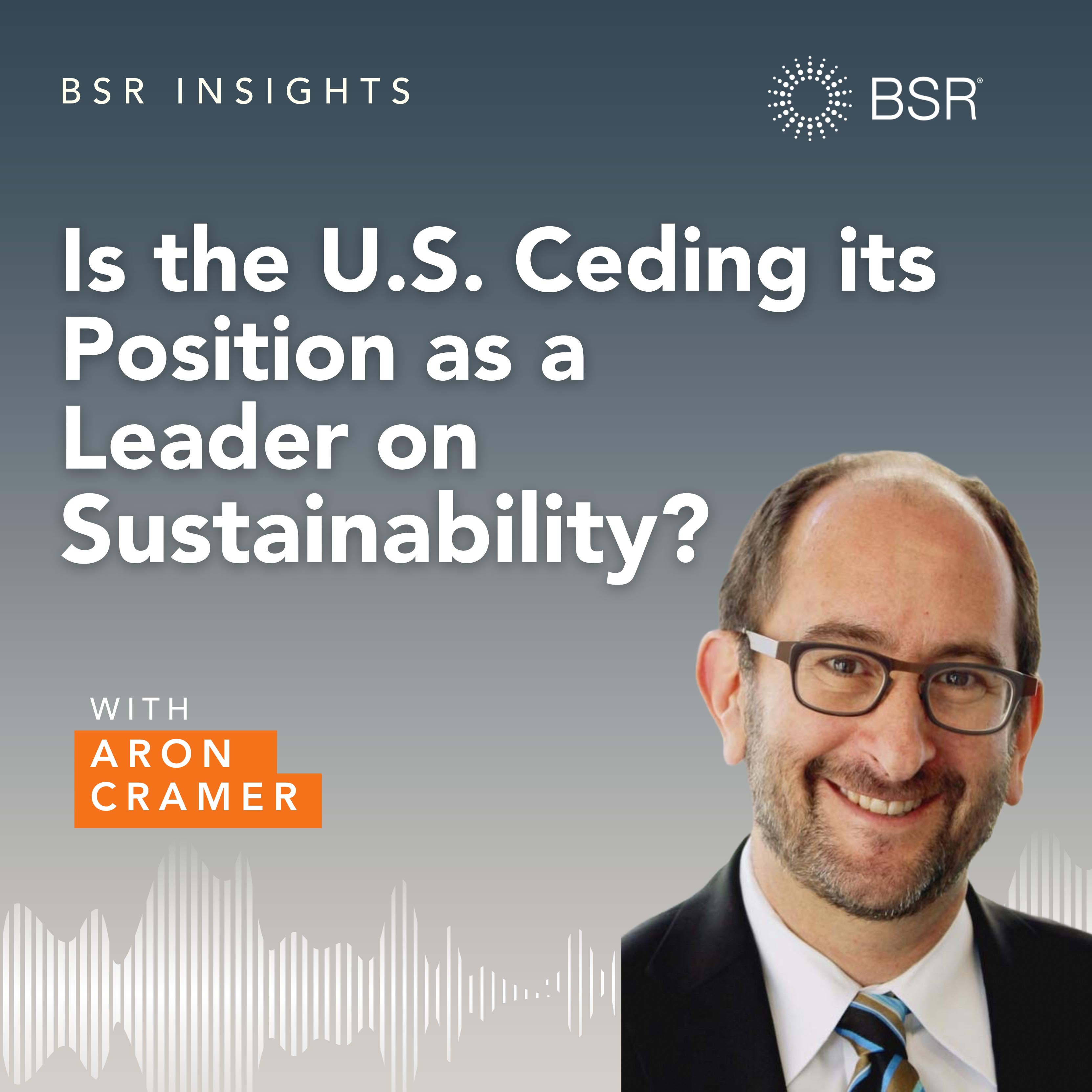 Is the U.S. Ceding its Position as a Leader in Sustainability? thumnail image